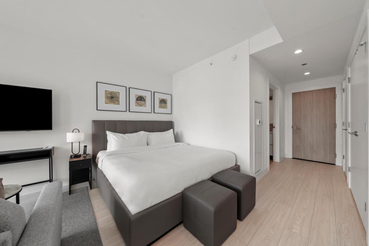 Level Suite