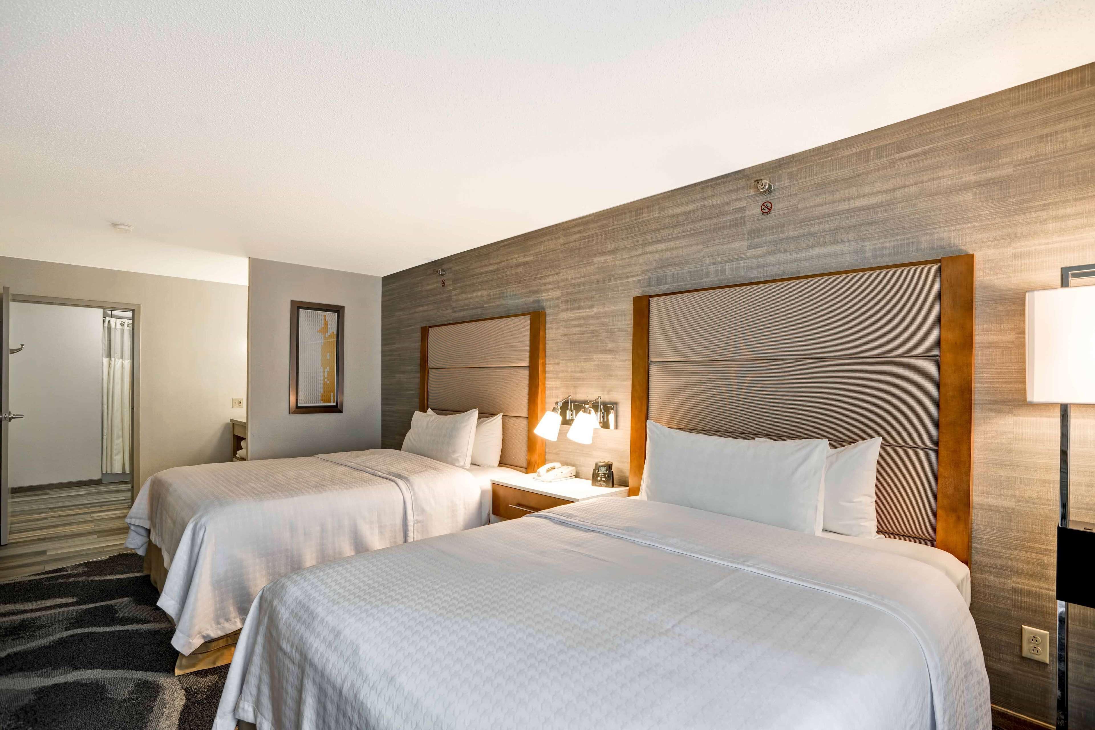 One-Bedroom Queen Suite