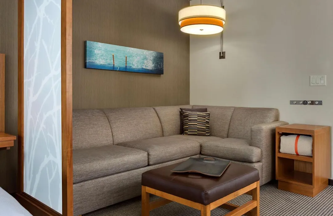 Hyatt Place Chicago/Downtown - The Loop-1