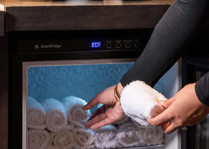 Hotel Sofitel Chicago Magnificent Mile